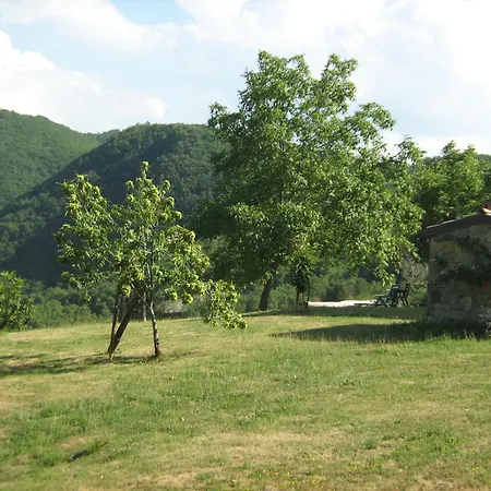 La Piana Dei Castagni Lantgård Castel dʼAiano
