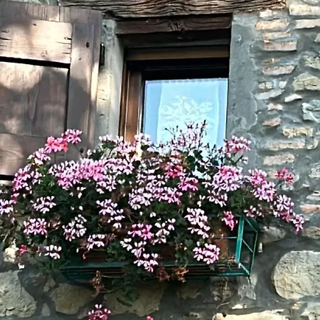 La Piana Dei Castagni Κατάλυμα σε φάρμα Castel dʼAiano