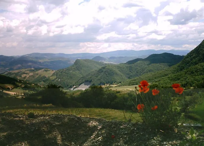 Lantgård La Piana Dei Castagni Castel dʼAiano