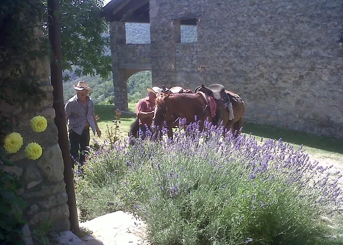 La Piana Dei Castagni *