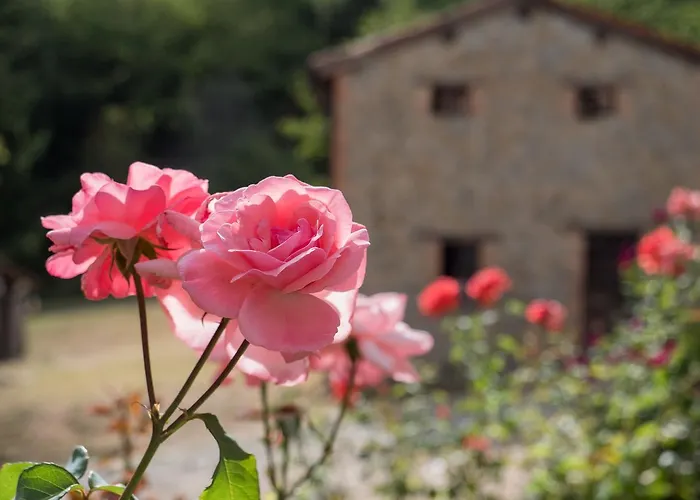 La Piana Dei Castagni * Castel dʼAiano
