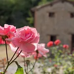 La Piana Dei Castagni * Castel dʼAiano