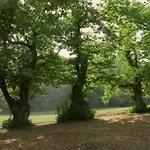 La Piana Dei Castagni