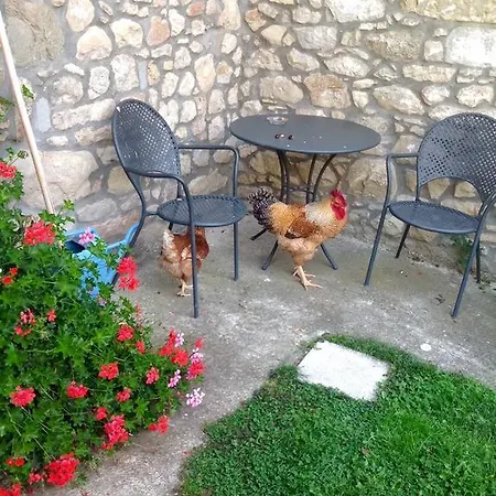 La Piana Dei Castagni Castel dʼAiano