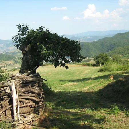 La Piana Dei Castagni Agroturismo *