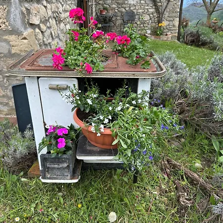 La Piana Dei Castagni Çiftlik konaklama Castel dʼAiano