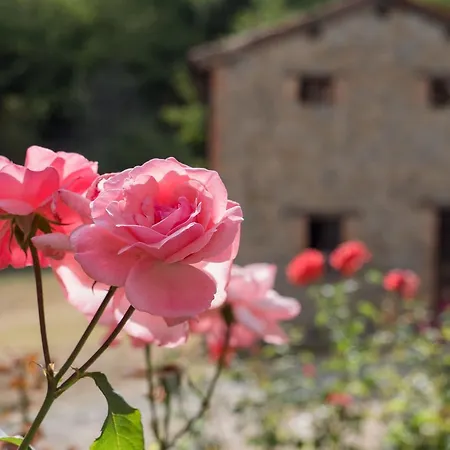 La Piana Dei Castagni * Castel d'Aiano