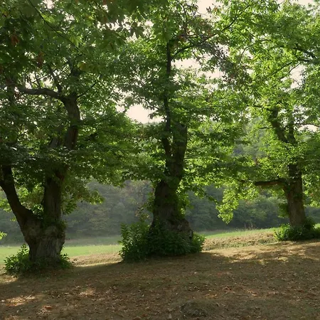 La Piana Dei Castagni