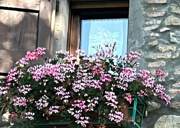 La Piana Dei Castagni Feriegård Castel dʼAiano