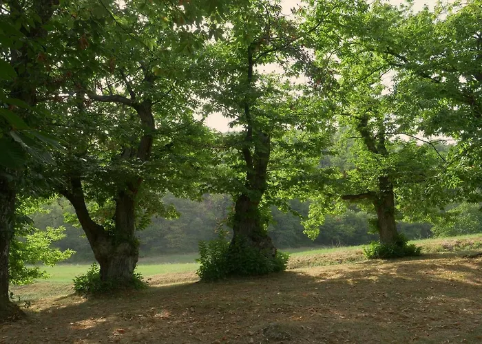 La Piana Dei Castagni